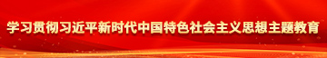 插逼逼网免费看学习贯彻习近平新时代中国特色社会主义思想主题教育